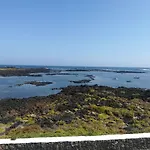 Odamar De